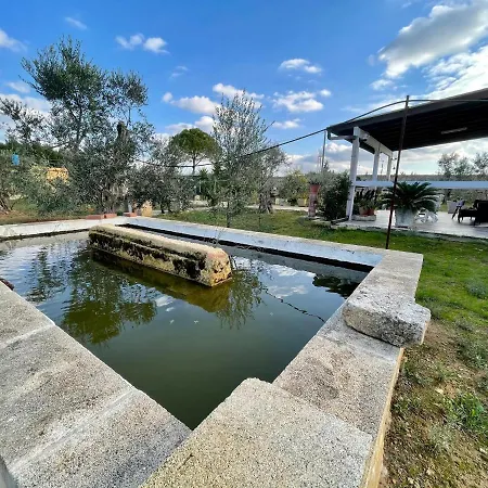 Ilenia Holiday home *